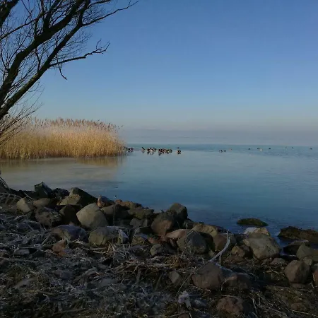 Viragos * Balatonszárszó