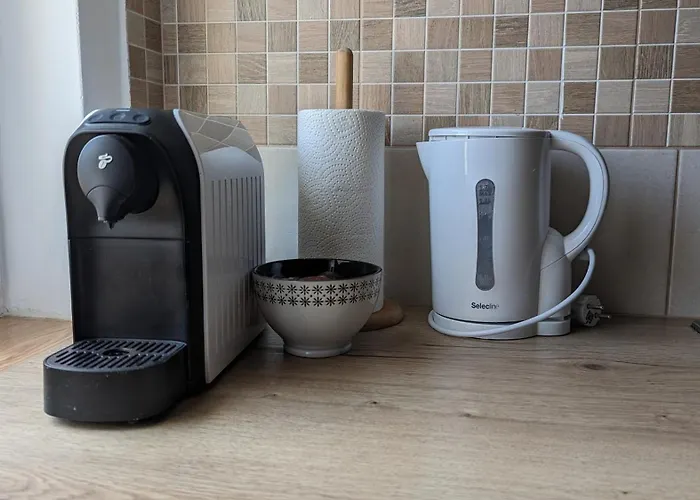 Apartament Viragos *