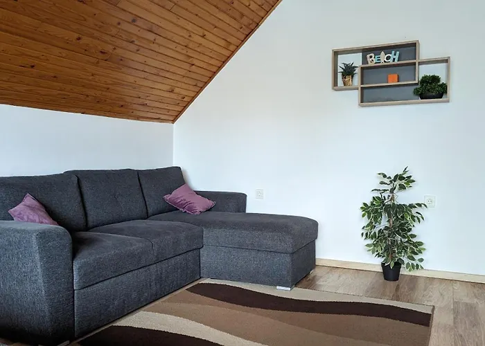 Apartament Viragos *