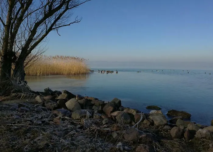 Viragos * Balatonszárszó